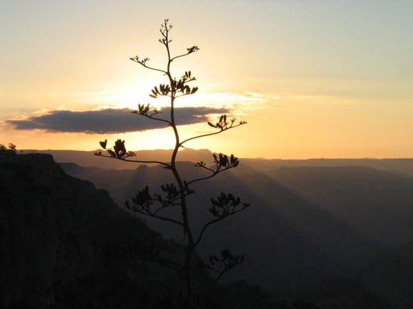 Copper Canyon, Mexico - 8