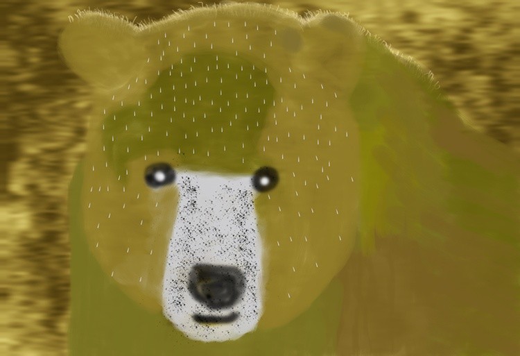 Bear Bust after Rain   P382