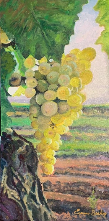Fruit of The Vine