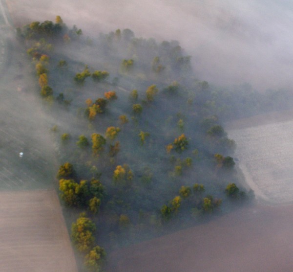 Rhomboid patch in  mist