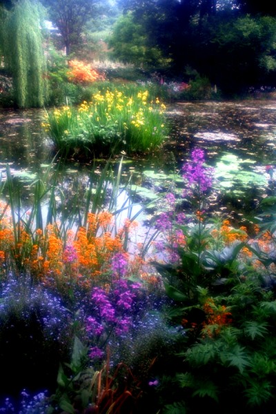 Flowers in the Water Garden, Giverny