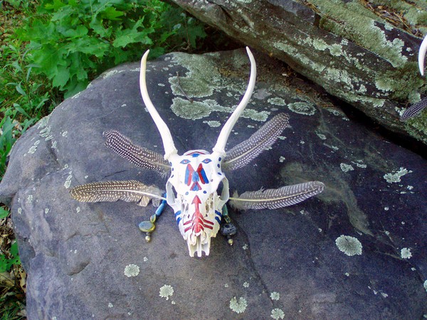 Painted Deer skull