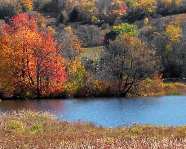 Autumn on Lake Moraine, Hamilton,N.Y.