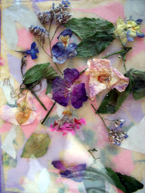 flowers dried