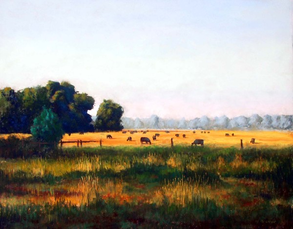 Pasture in Morning