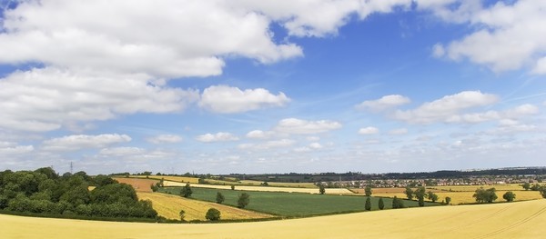 Fields Landscape