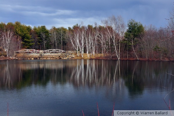 Spring at Lincoln Woods