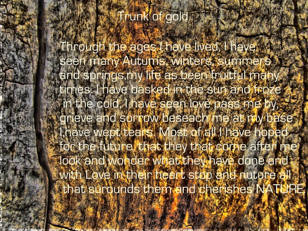 Golden trunk