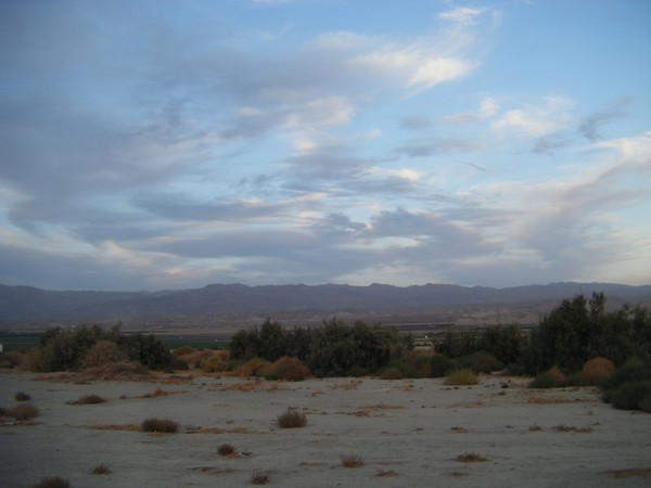 Desert Sky