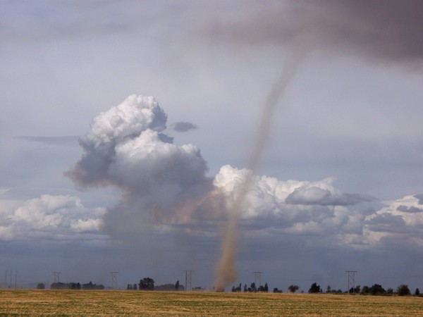 Oregon Country Dirt Twister