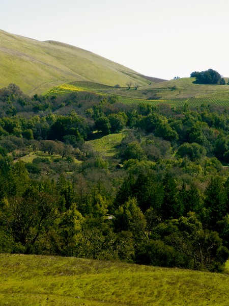 Sugarloaf Ridge hike 3