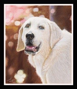 nc art orig pastel labrador dog 