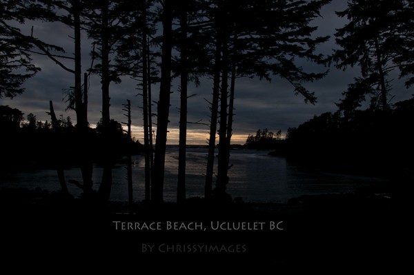 Terrace Beach Ucluelet BC