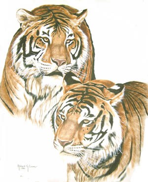 bengal tiger portrait