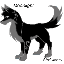 Moonlight Adoptie // Thanks Rival Inferno!
