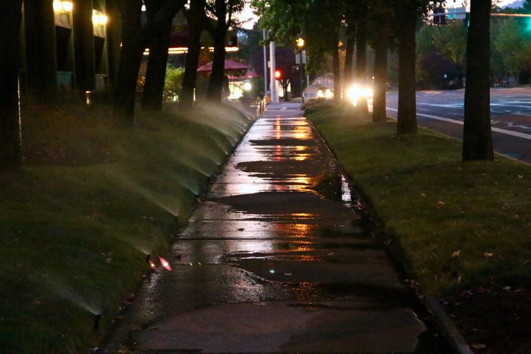 Cool Night, Damp Sidewalk