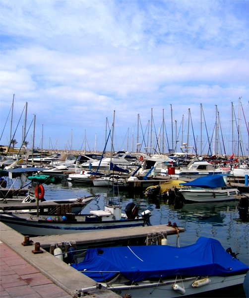 Herzlia's Marina