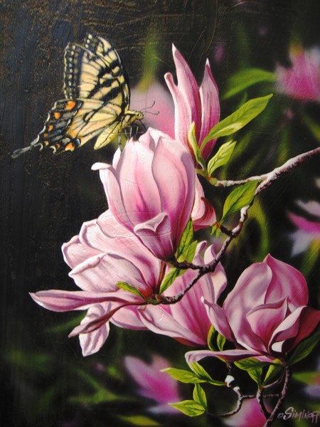 Swallowtail on Magnolias