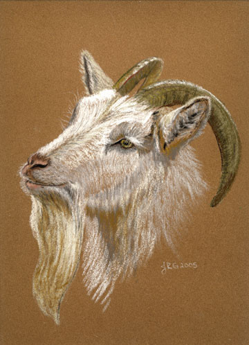 Billy the Goat