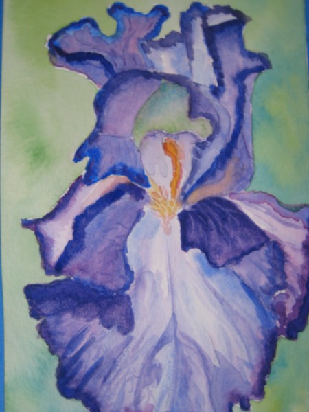 Spring Iris 