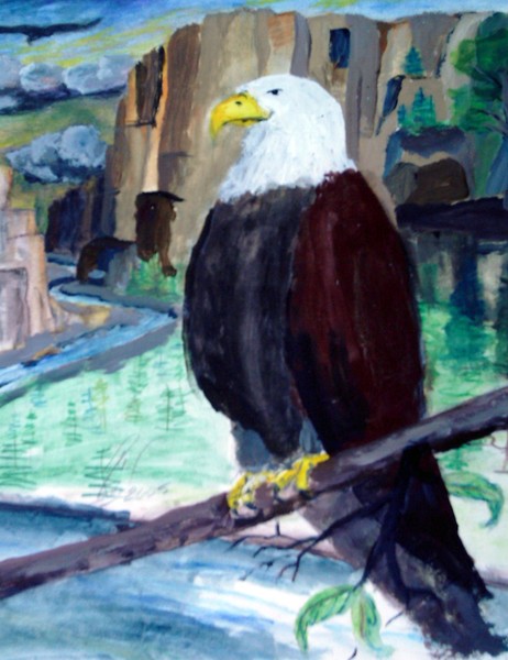 American Pride the Bald Eagle