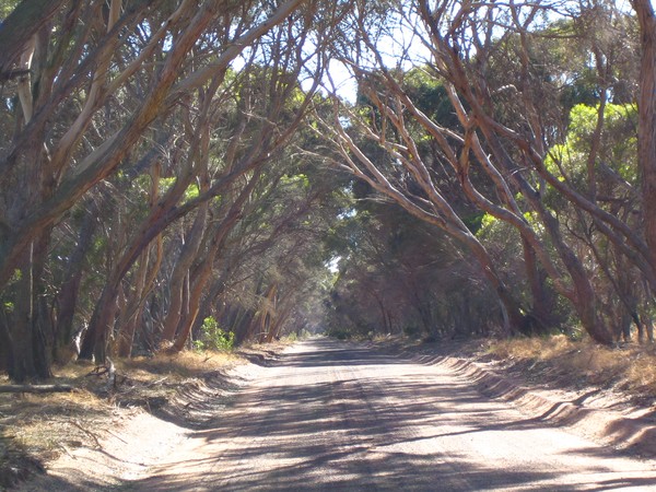 Kangaroo Island - solitary journey