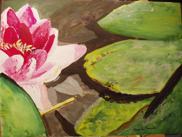 Water Lily & Pads  watercolor