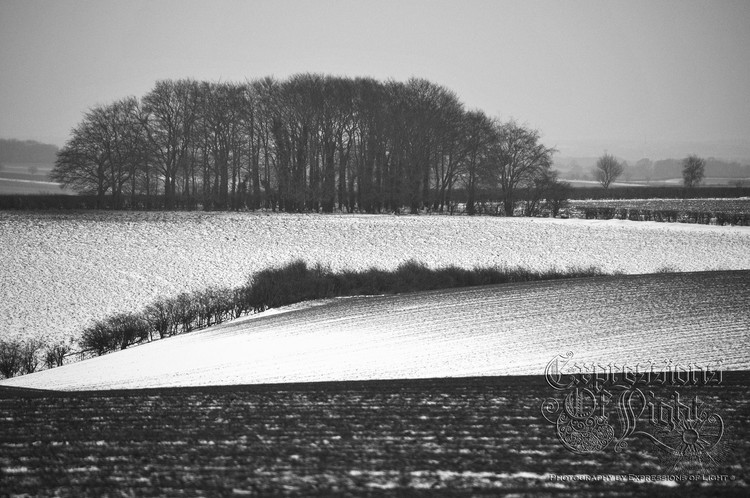 ExpoLight-The-Lincolnshire-Wolds-Winter-18-03-2018-0018 (SP)