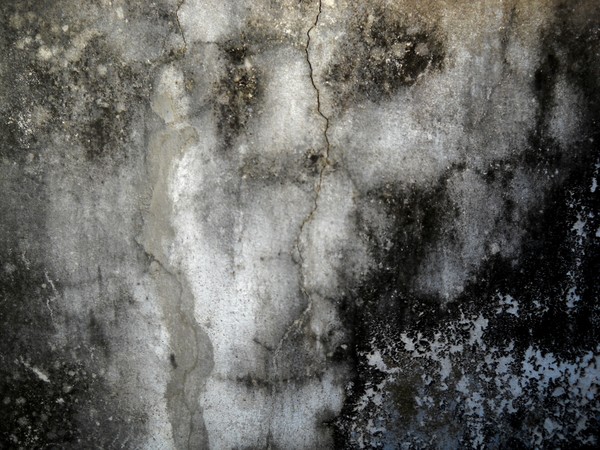 Abstract-Old wall