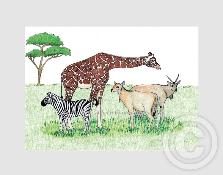 Giraffe, Gazelles & Zebra Whimsical Illustration
