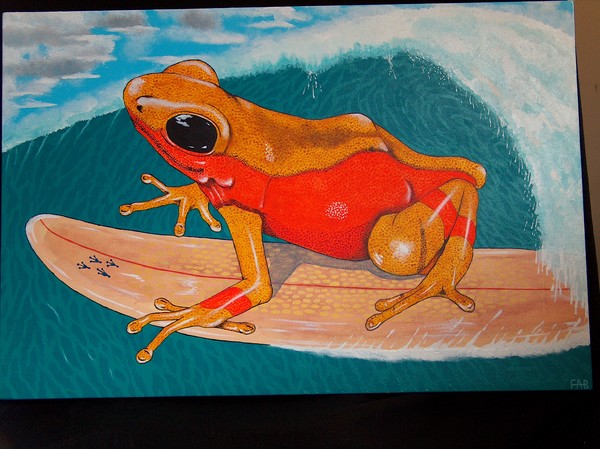 surfing harliquen frog.