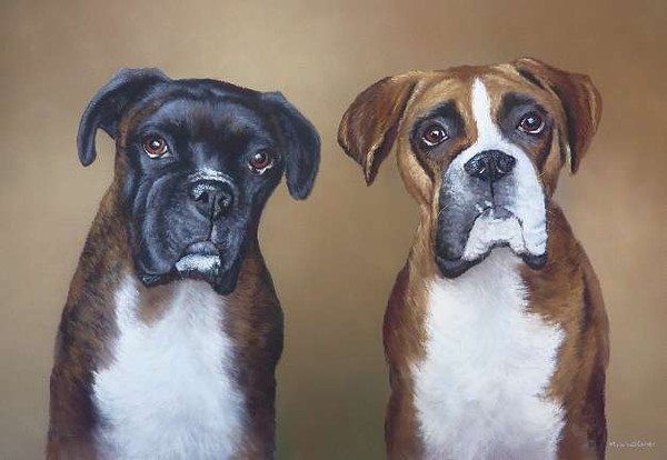 Portrait Of 2 Boxers