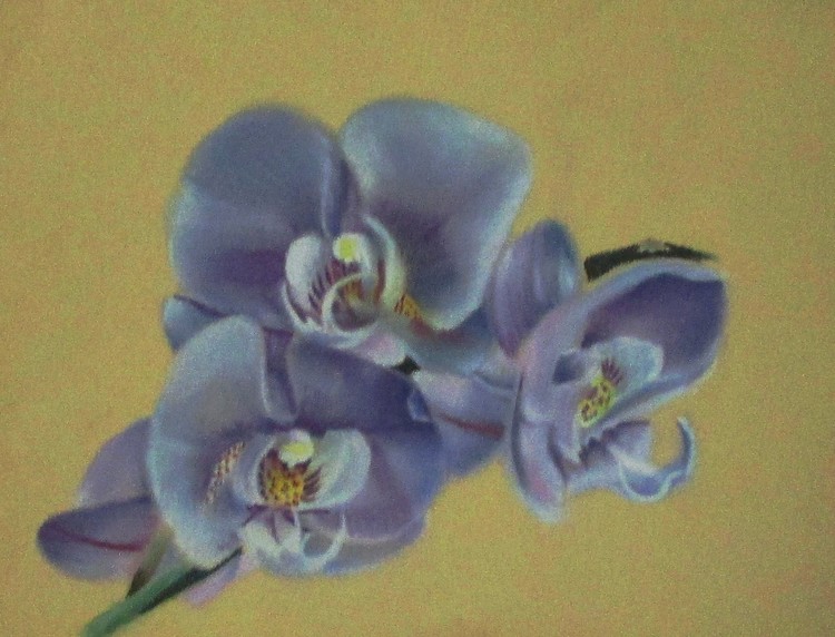 purpleorchids