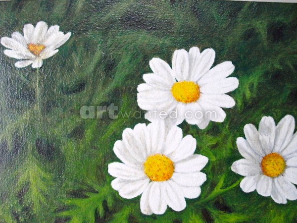 Daisies