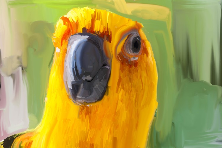parrothead painting