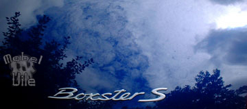 Boxster X