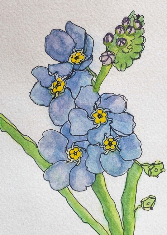 Forget Me Nots Small Original Painting