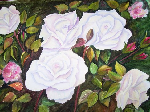 White roses sold