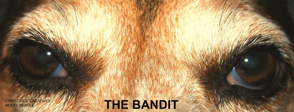 THE BANDIT