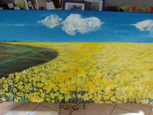 Canola Field