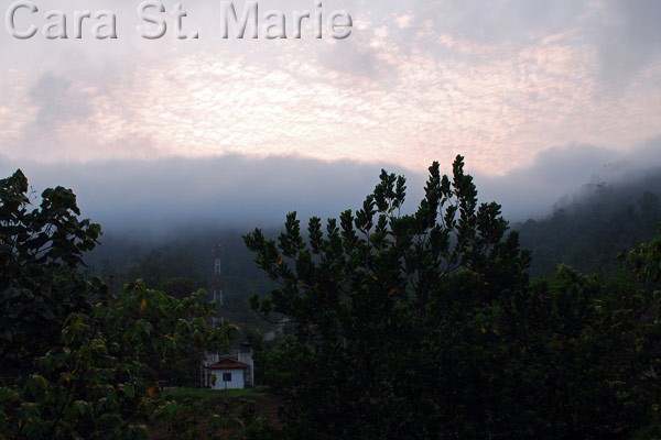 Morning Mist near Taman Negara