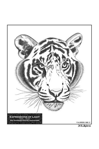 ExpoLight-Graphic-Arts-Tiger-0001M (Sample Proof-A
