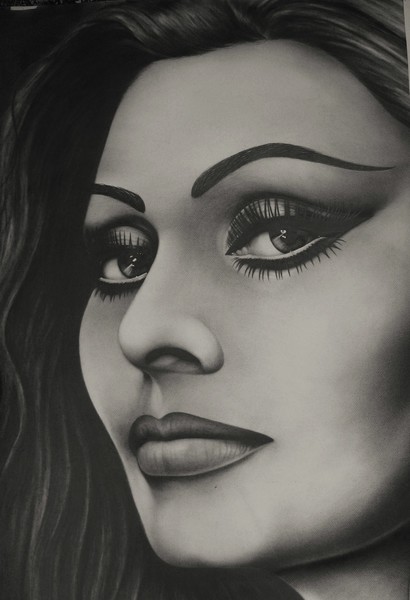 Sophia Loren  Graphite Study