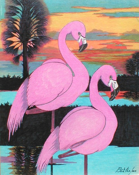 Flamingos in the Everglades