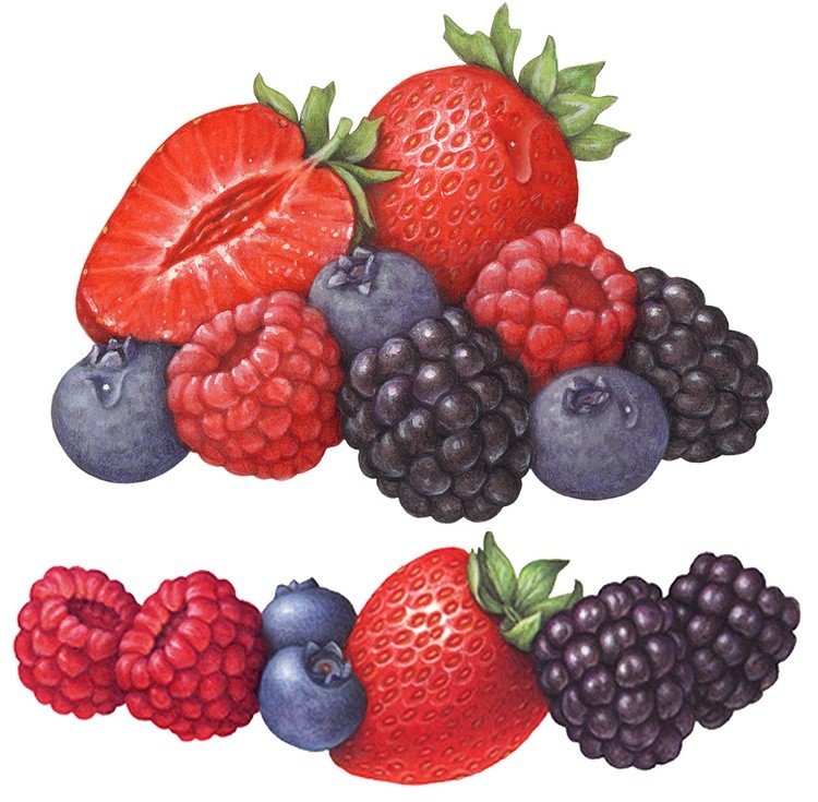 Mixed Berry Paintings