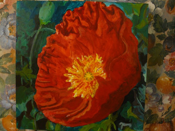 painted poppy