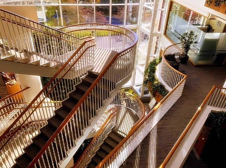 Modern Staircases 2, Massachusetts Medical Society, 11-19-2023