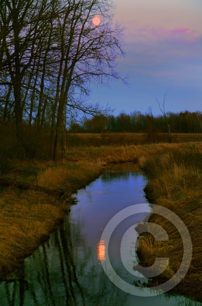 Full moon rising