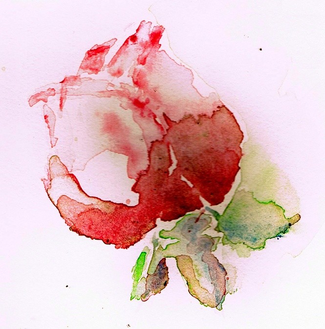 Red Rose Watercolor