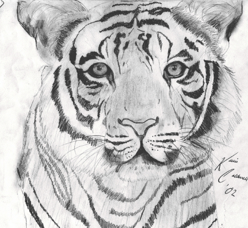 Tiger